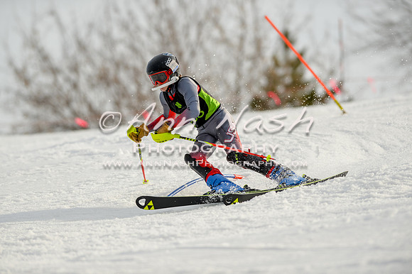alpine-Feb19-2017-DSC_1343