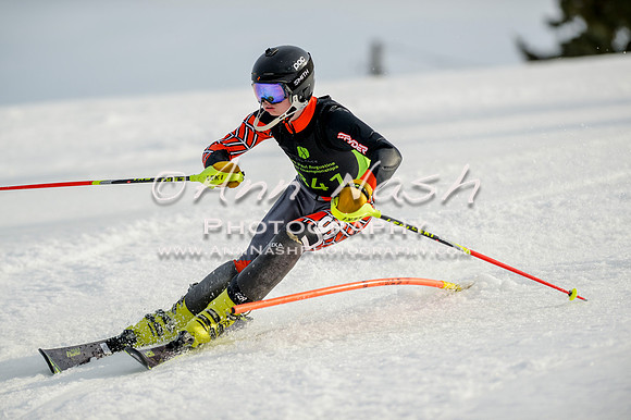 alpine-Feb19-2017-DSC_1369