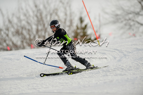 alpine-Feb19-2017-DSC_1218