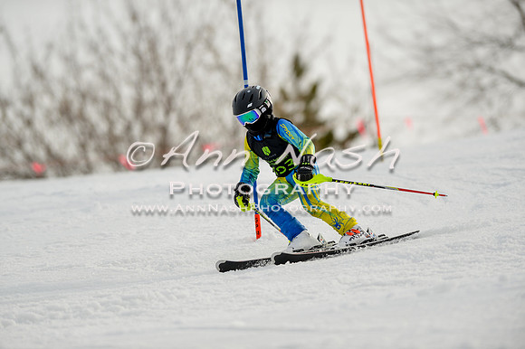 alpine-Feb19-2017-DSC_0786