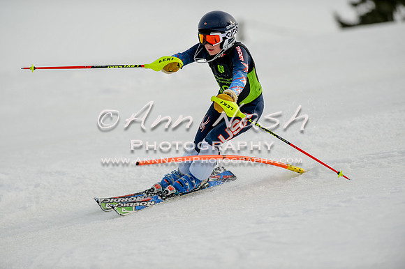 alpine-Feb19-2017-DSC_0974