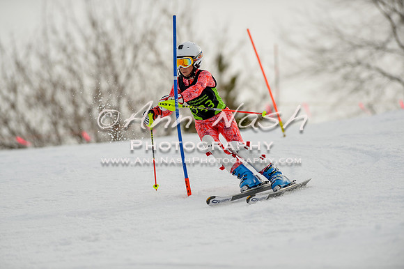 alpine-Feb19-2017-DSC_0707