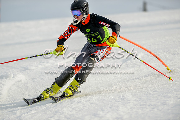 alpine-Feb19-2017-DSC_1370