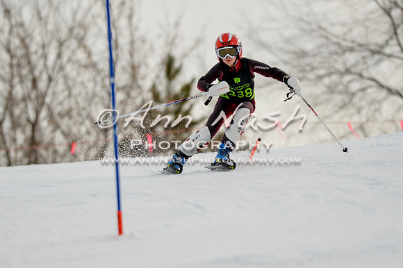 alpine-Feb19-2017-DSC_0518