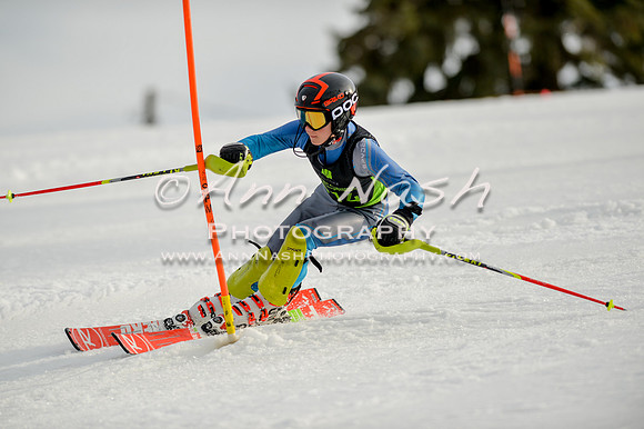 alpine-Feb19-2017-DSC_1272