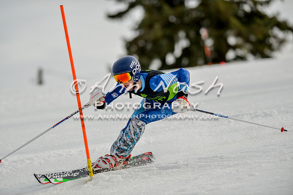 alpine-Feb19-2017-DSC_1165