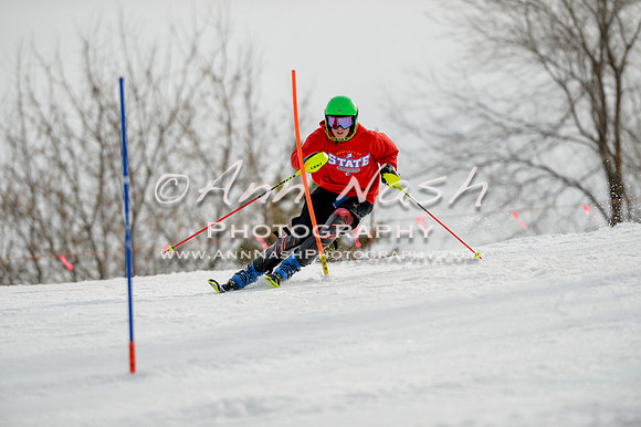 alpine-Feb19-2017-DSC_0229