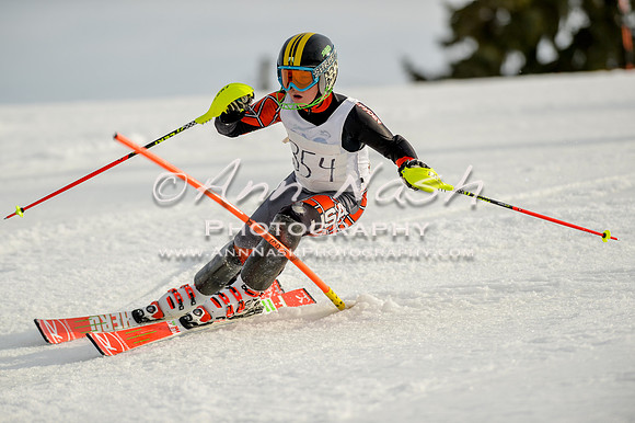 alpine-Feb19-2017-DSC_1360