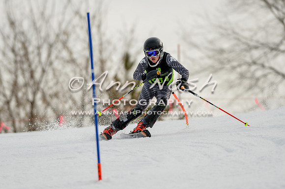 alpine-Feb19-2017-DSC_0550