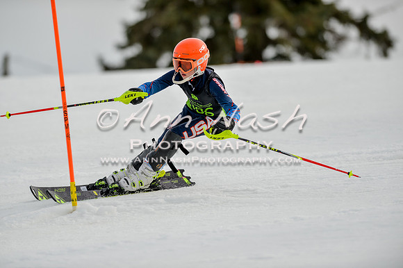 alpine-Feb19-2017-DSC_0469