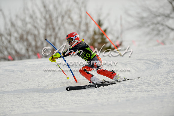 alpine-Feb19-2017-DSC_1250
