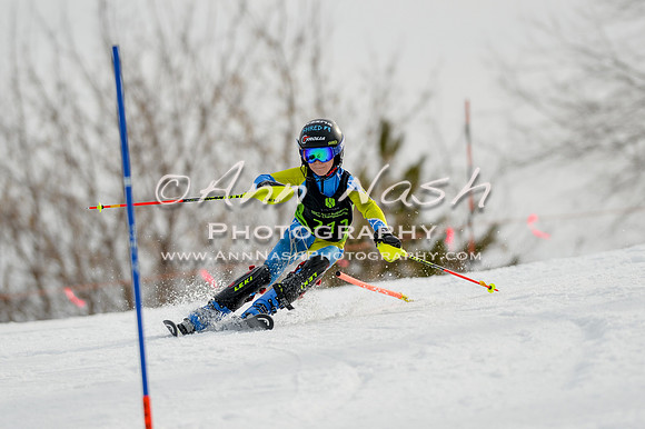 alpine-Feb19-2017-DSC_0331