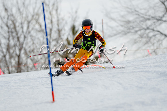 alpine-Feb19-2017-DSC_0935