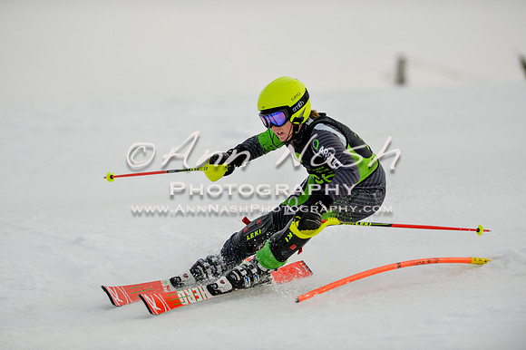 alpine-Feb19-2017-DSC_0732