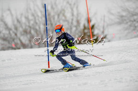 alpine-Feb19-2017-DSC_0286