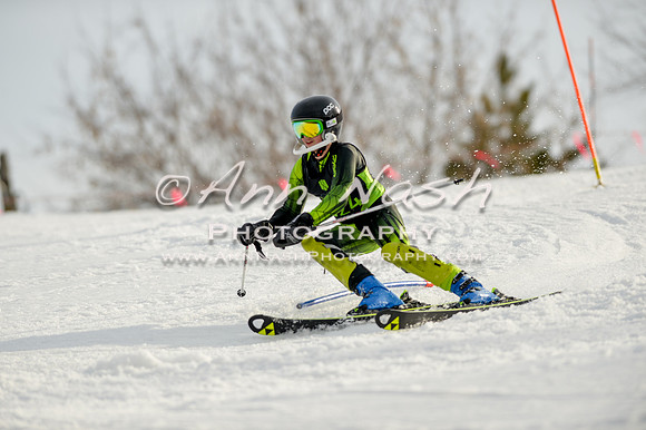 alpine-Feb19-2017-DSC_1428