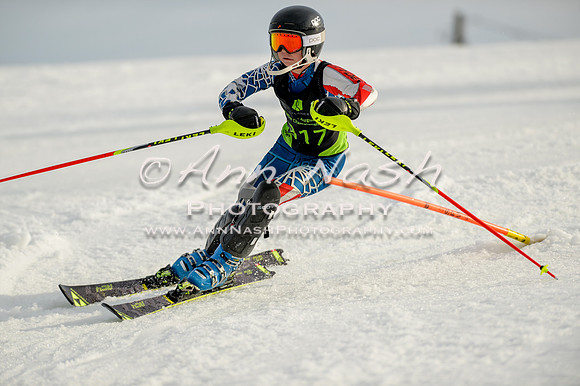 alpine-Feb19-2017-DSC_1400