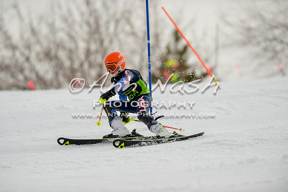 alpine-Feb19-2017-DSC_0467