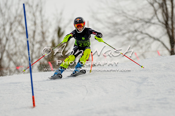 alpine-Feb19-2017-DSC_0991