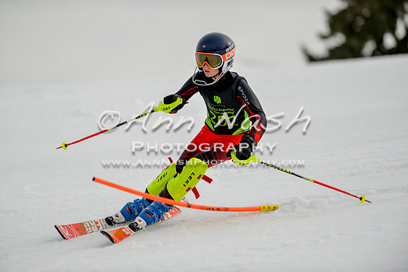 alpine-Feb19-2017-DSC_0628