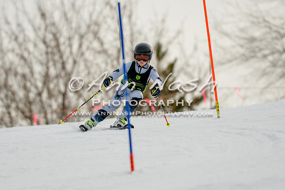 alpine-Feb19-2017-DSC_0640