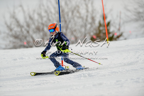 alpine-Feb19-2017-DSC_0287