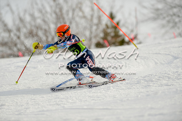 alpine-Feb19-2017-DSC_1309
