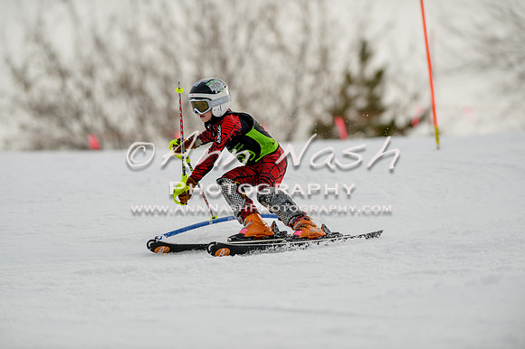 alpine-Feb19-2017-DSC_0668