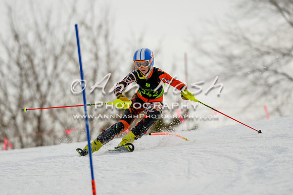 alpine-Feb19-2017-DSC_1063