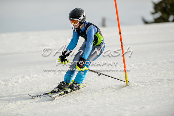 alpine-Feb19-2017-DSC_1330