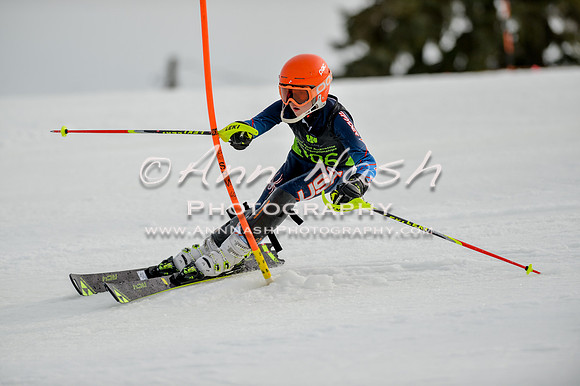 alpine-Feb19-2017-DSC_0470
