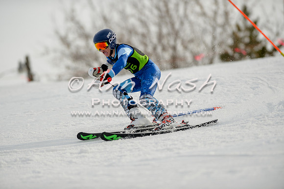 alpine-Feb19-2017-DSC_1163