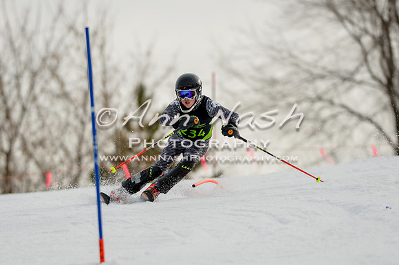 alpine-Feb19-2017-DSC_0549