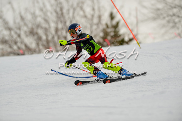 alpine-Feb19-2017-DSC_0624