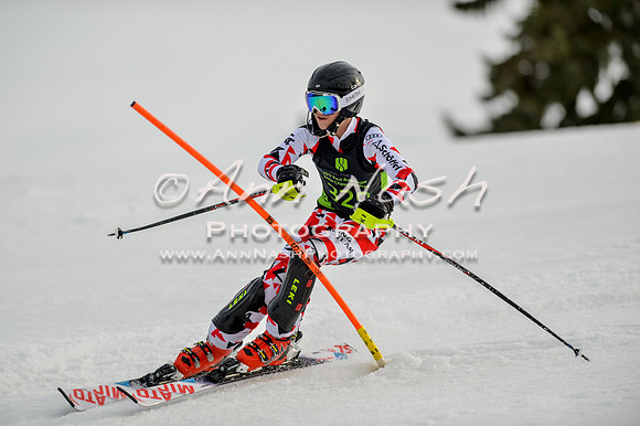 alpine-Feb19-2017-DSC_1082