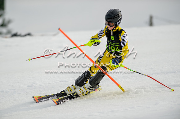 alpine-Feb19-2017-DSC_0301