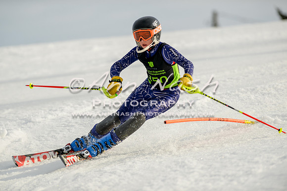 alpine-Feb19-2017-DSC_1383