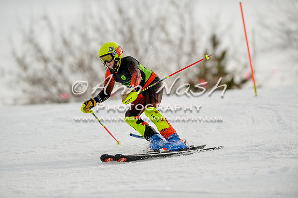 alpine-Feb19-2017-DSC_1000