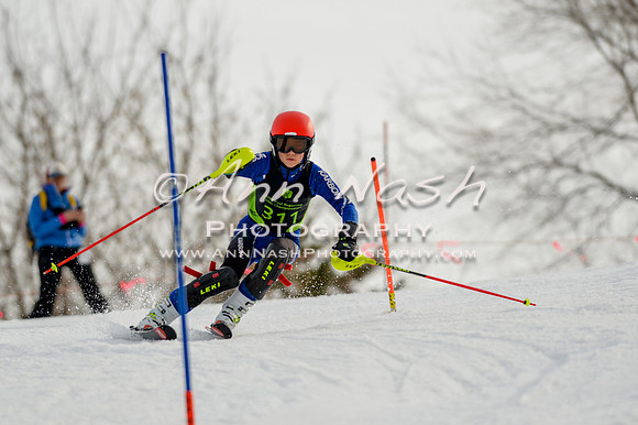 alpine-Feb19-2017-DSC_1134