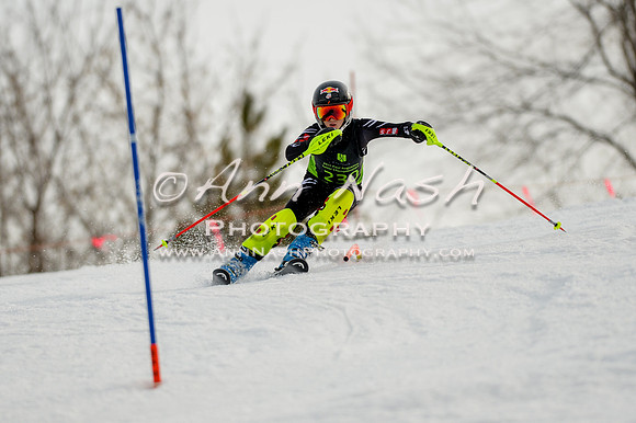 alpine-Feb19-2017-DSC_0990