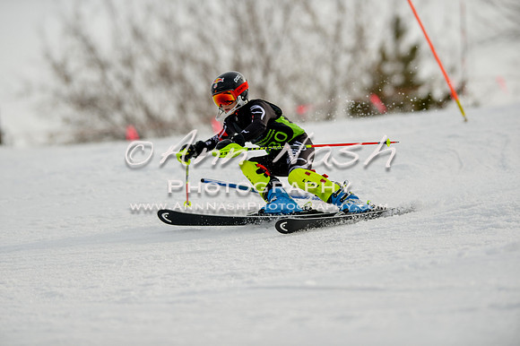 alpine-Feb19-2017-DSC_0992