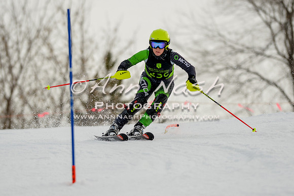 alpine-Feb19-2017-DSC_0726