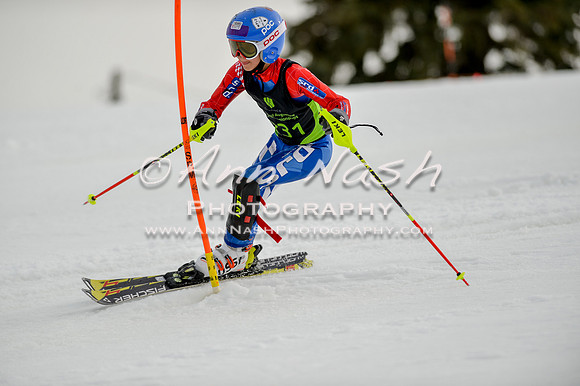 alpine-Feb19-2017-DSC_0701