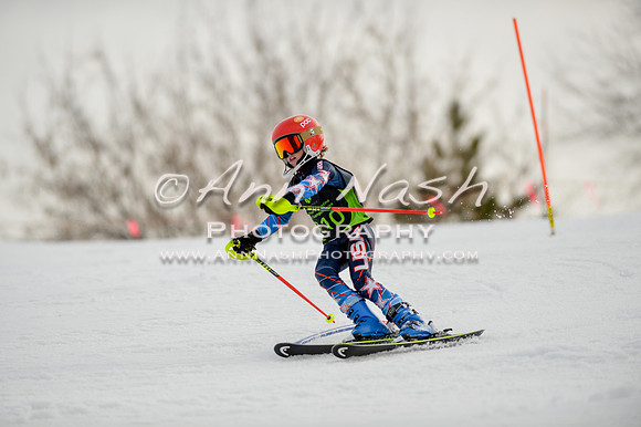 alpine-Feb19-2017-DSC_0533