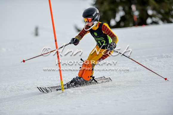 alpine-Feb19-2017-DSC_0939