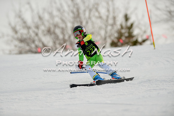 alpine-Feb19-2017-DSC_0770