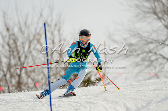 alpine-Feb19-2017-DSC_1294