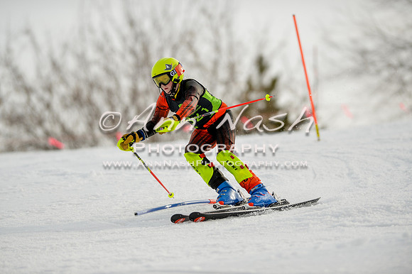 alpine-Feb19-2017-DSC_0999