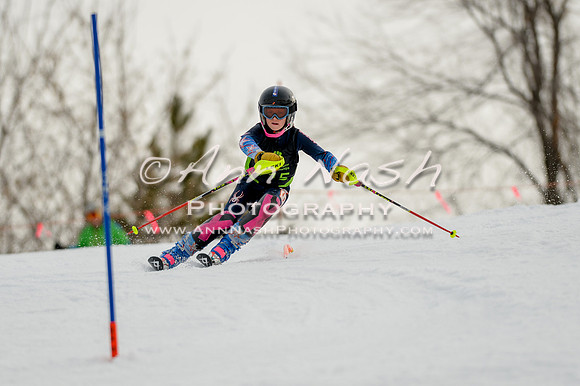 alpine-Feb19-2017-DSC_0682