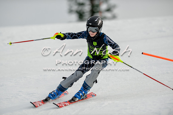 alpine-Feb19-2017-DSC_0378